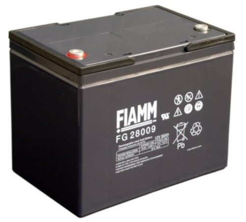  FIAMM FG 28009 (12FGL80)